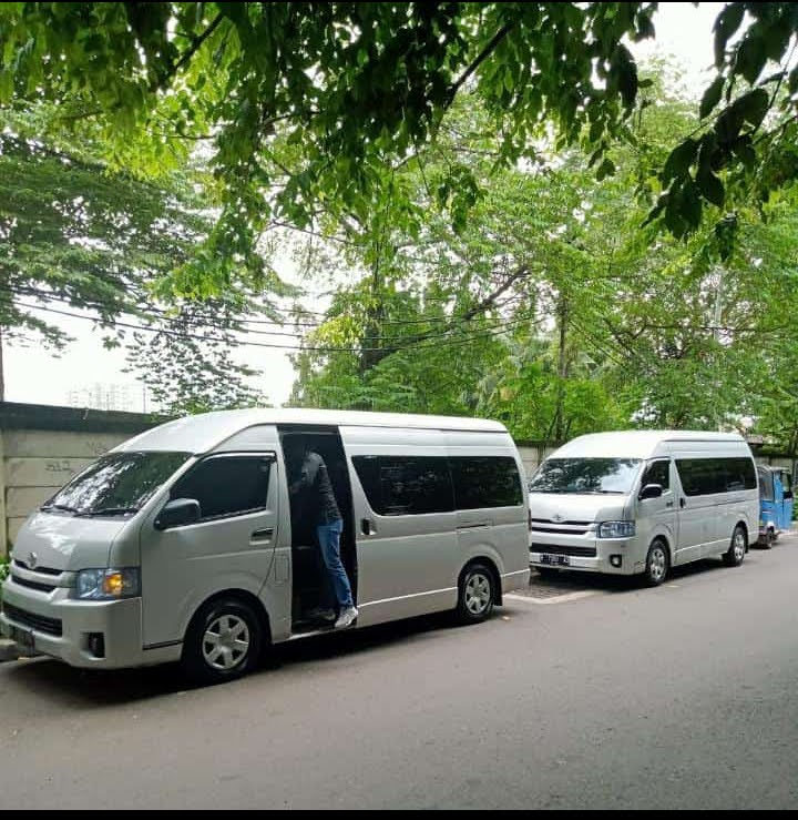 Rental Mobil