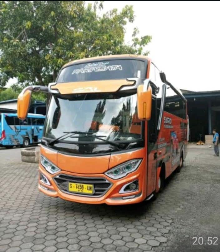 Bus pariwisata SAL
